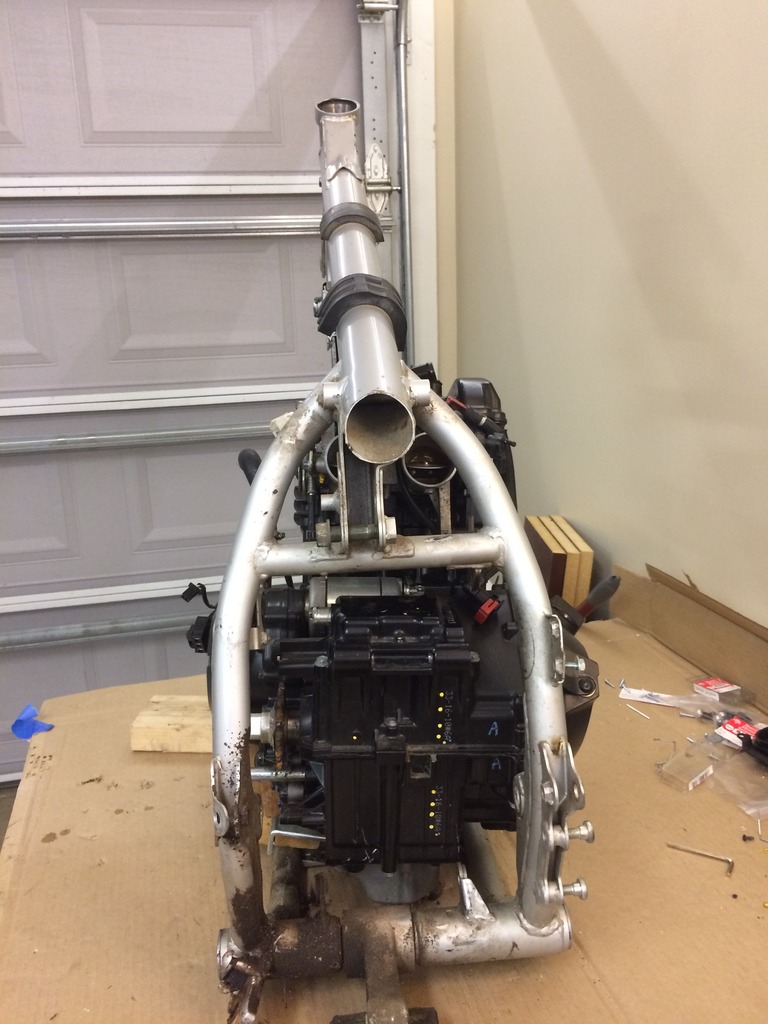 KLR650 frame, Ninja 300 engine, DRZ400SM front end Adventure Rider