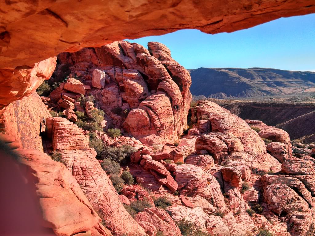 how to ride a trials bike