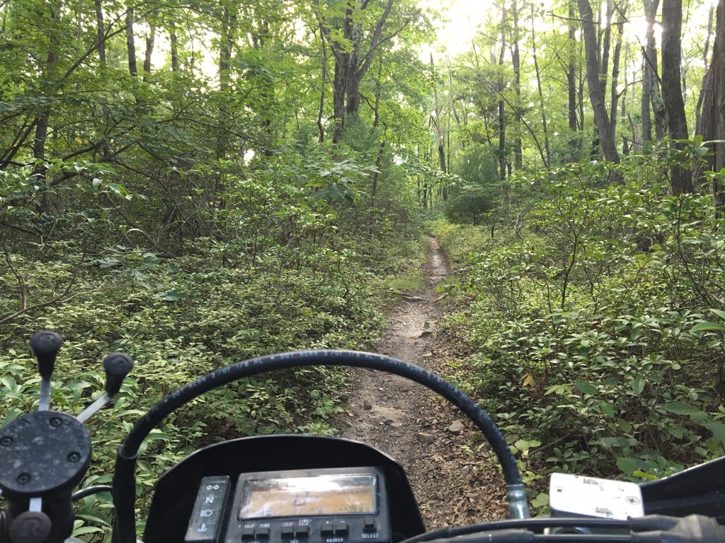 Weekend Camping in Bald Eagle State Forest (PA) | Adventure Rider