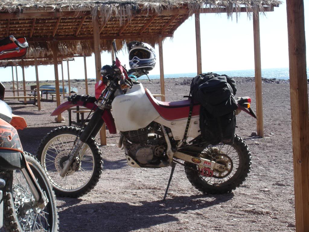 honda xr600 as a adv bike Adventure Rider