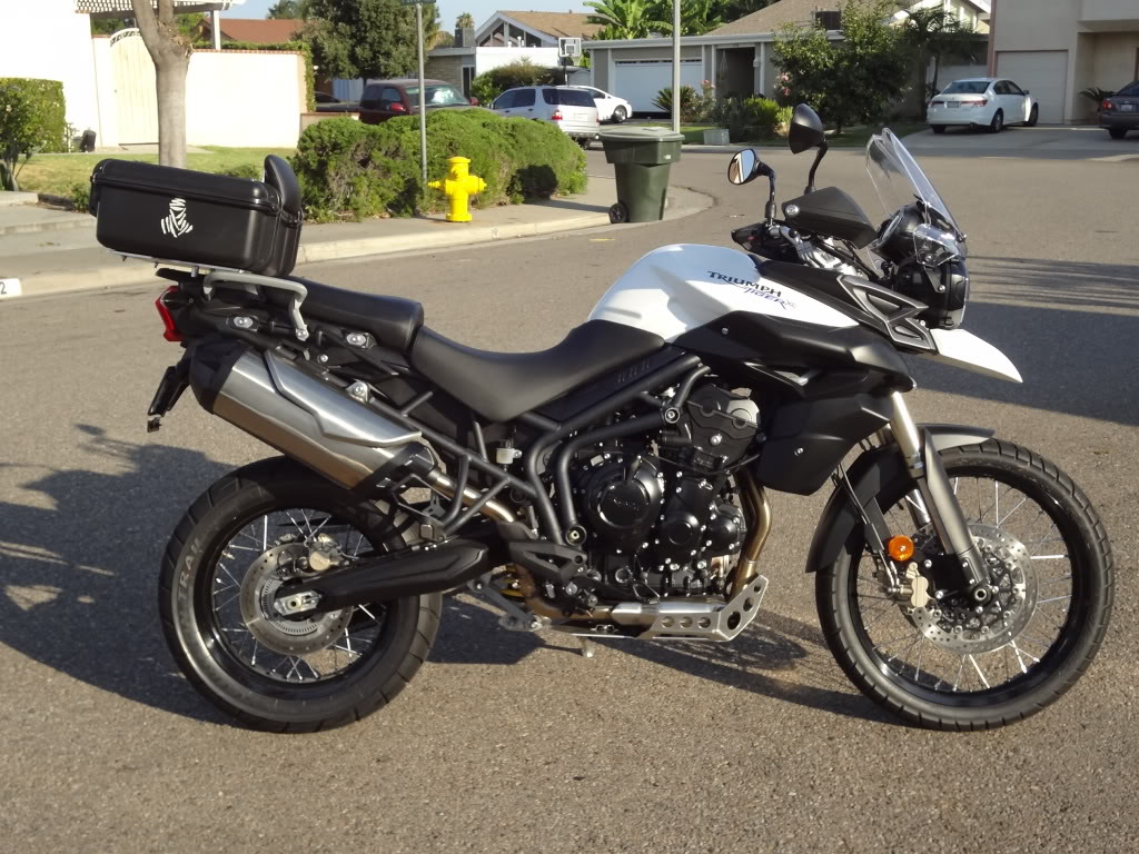 Triumph tiger отзывы