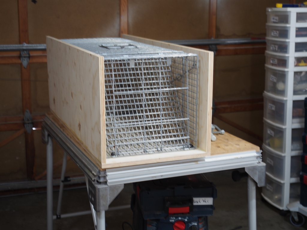 Killing raccoons Page 3 Adventure Rider