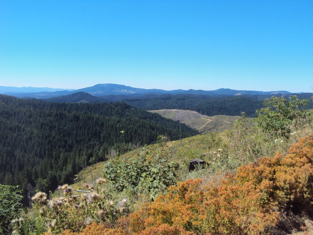 Palouse divide exploration Adventure Rider