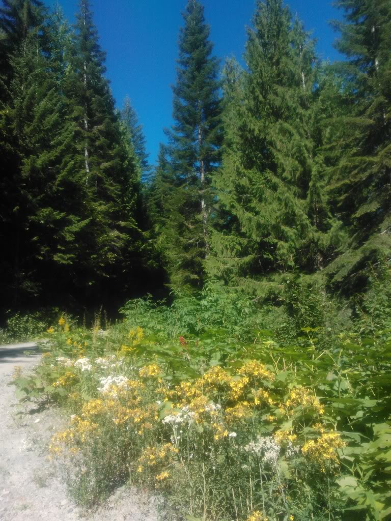 Palouse divide exploration Adventure Rider