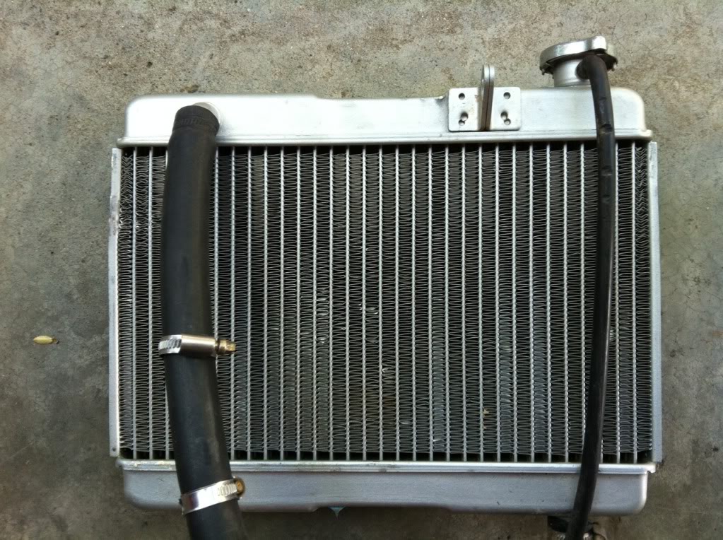 Vinegar ratio to clean radiator ala carte? Adventure Rider