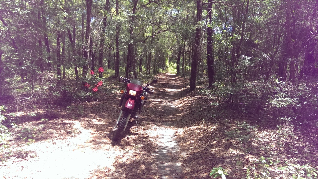 Ocala Area Rides Adventure Rider