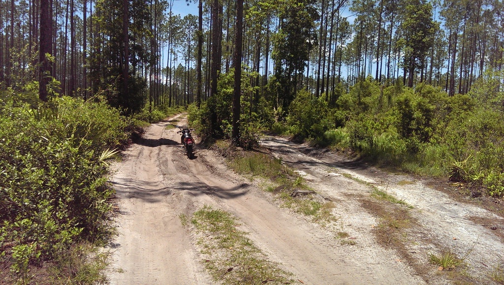 Ocala Area Rides Adventure Rider