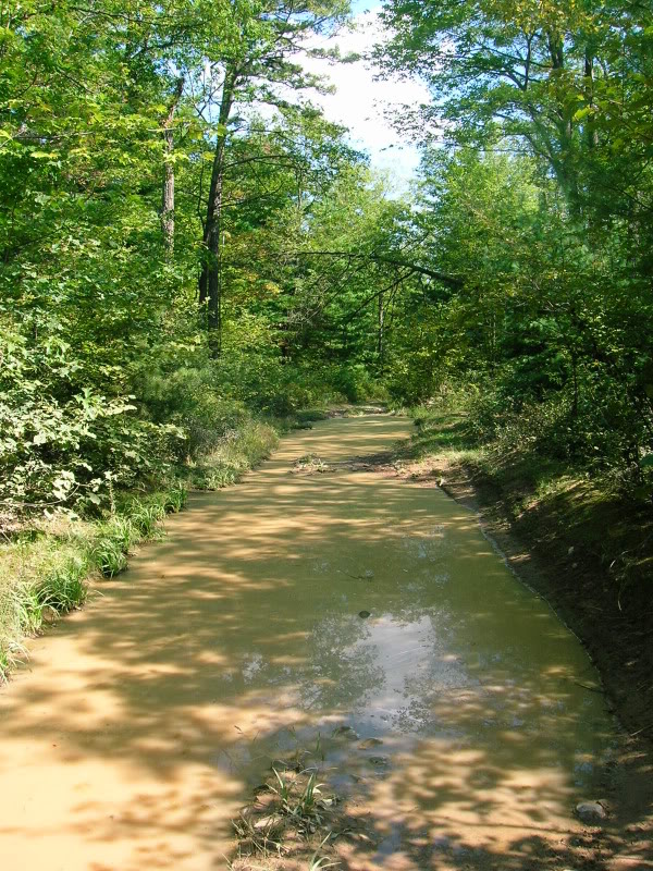 Bald Eagle State Forest, PA | Adventure Rider