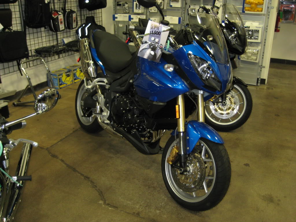 custom triumph tiger