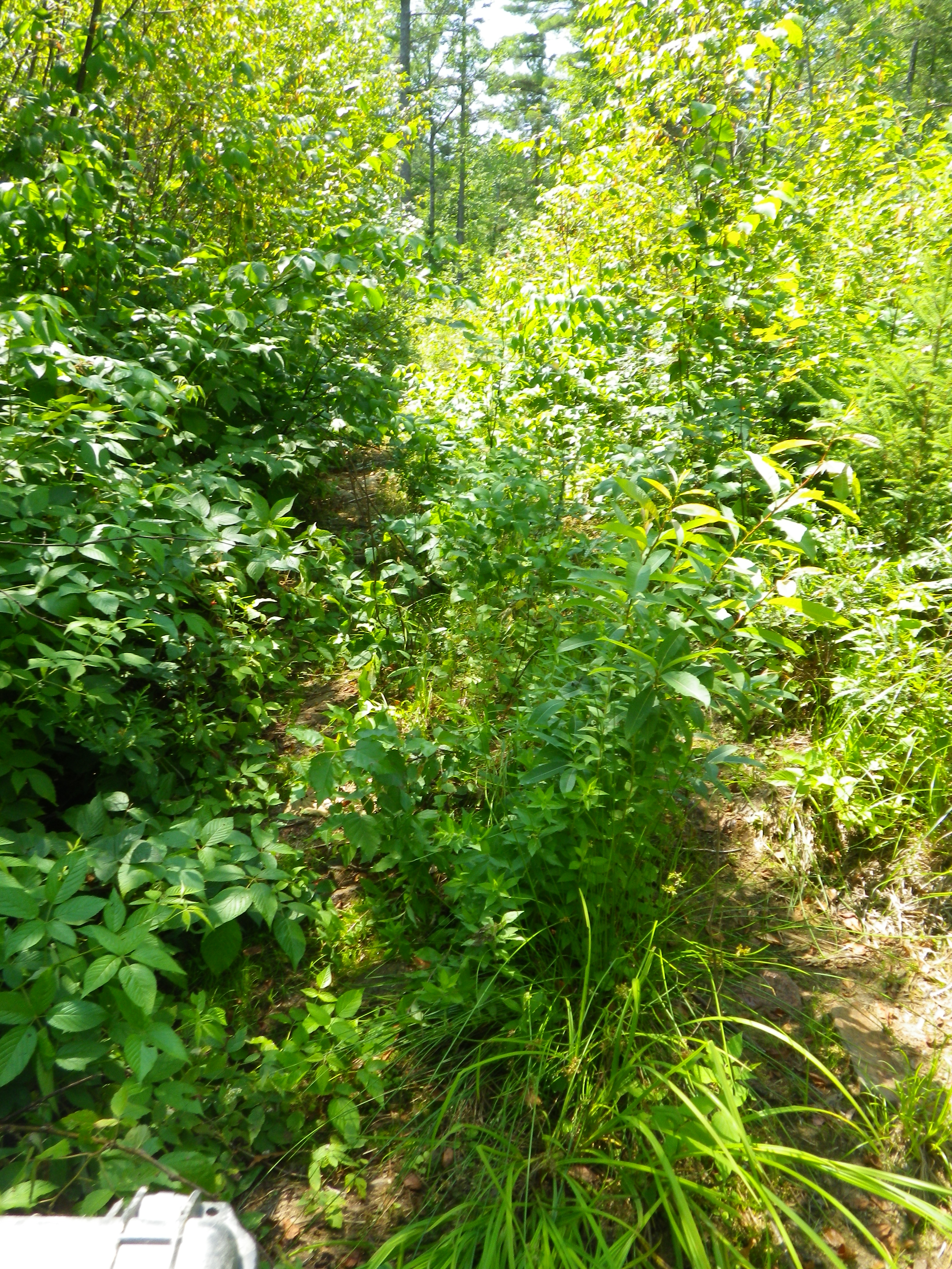 Black River (Riviere Noire) Quebec Adventure Rider