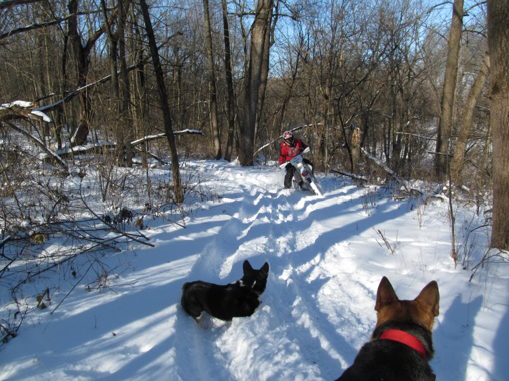 Motorcycle Winter Riding Pics | Page 90 | Adventure Rider