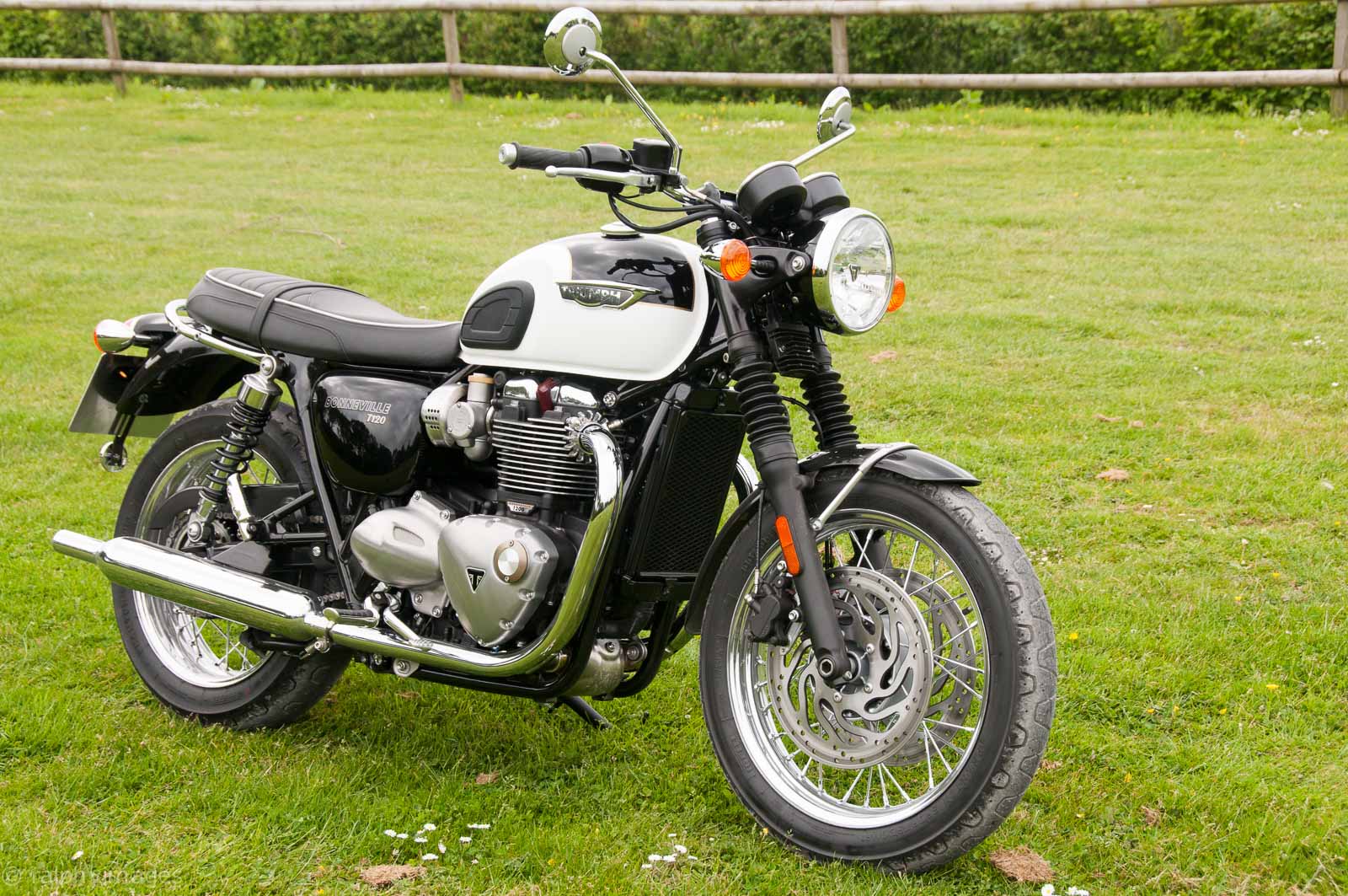 triumph bonneville adventure bike
