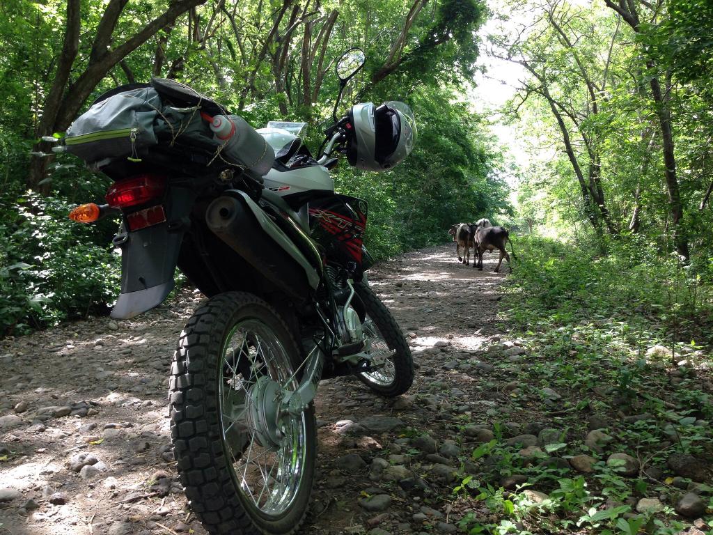 Dirt bike or atv rental near St. Louis? Adventure Rider