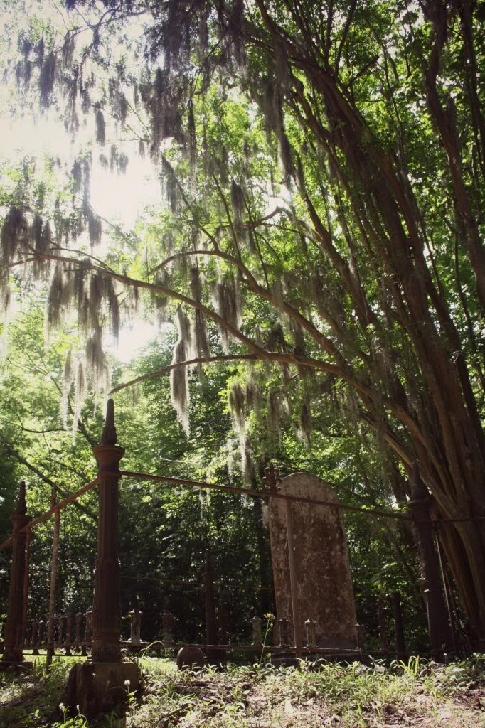 Grand GulfPort GibsonWindsor RuinsRodney Loop Adventure Rider