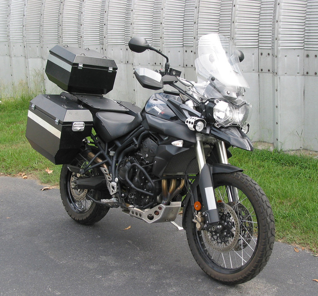 tiger 800 arrow