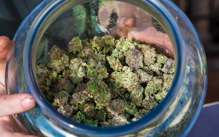 cannabis-business-cONTENT-2018