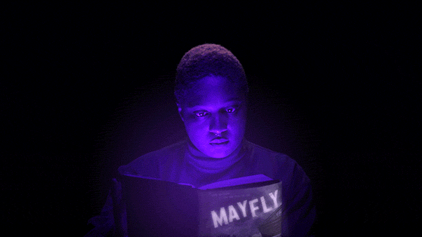 mayfly-giphy-c-CONTENT-2018