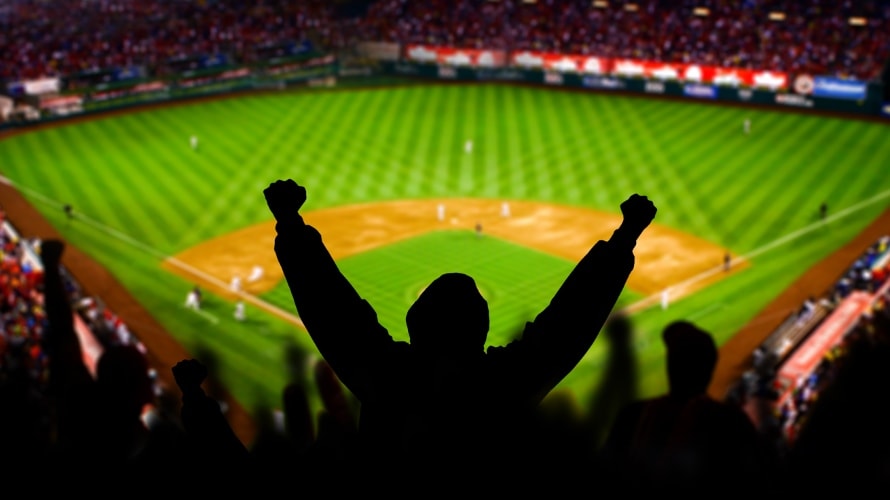 BaseballFanArmsUp