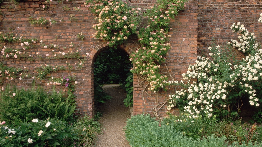 walled-garden-content-2018