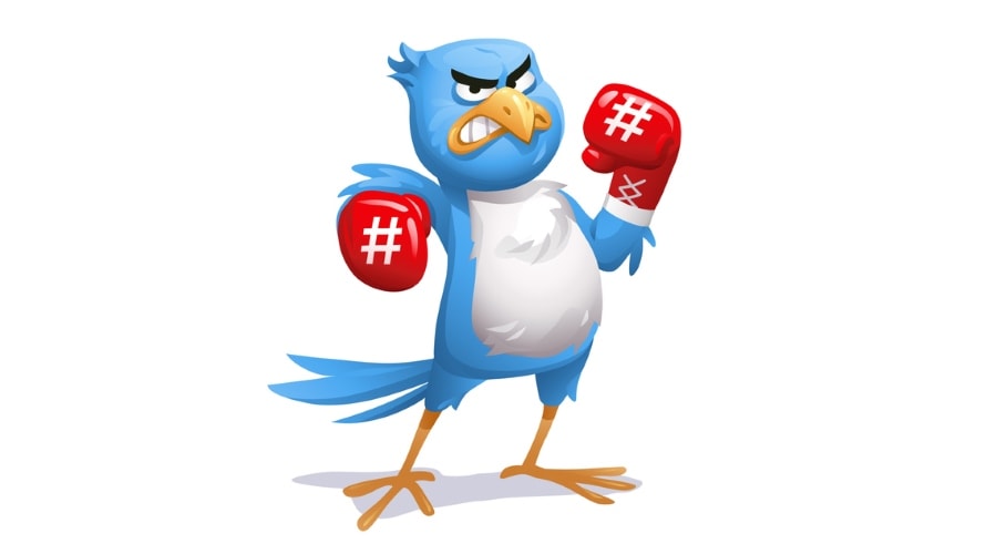 TwitterBirdBoxingGloves