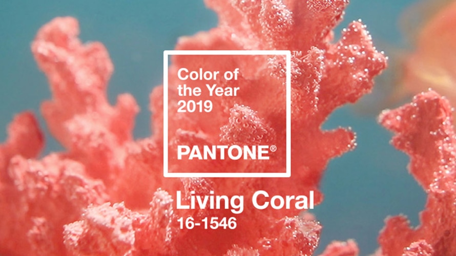 pantone-living-coral-content-2018 Pantone's Living Coral is shown.