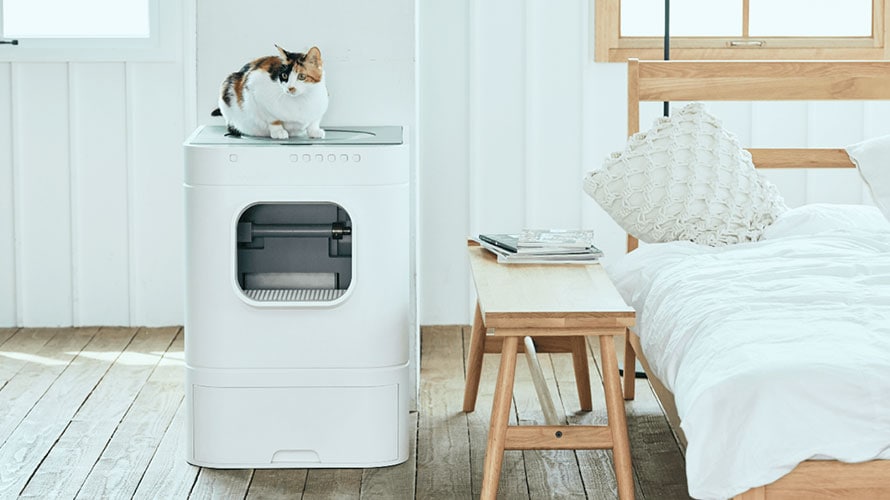bizzare-smart-items-content-2019