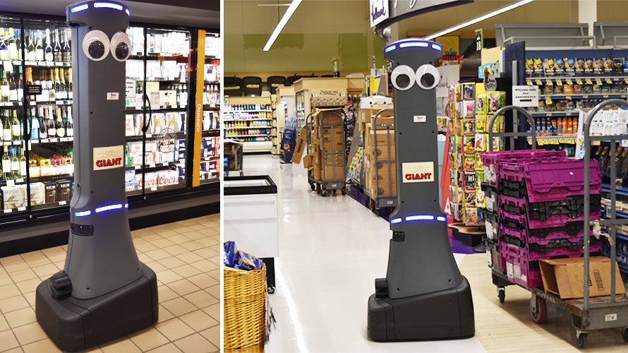 marty-the-robot-content-2019
