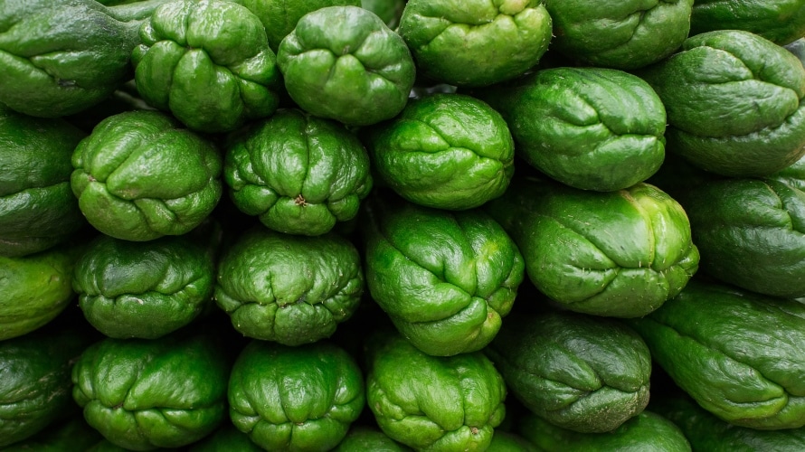 Chayote