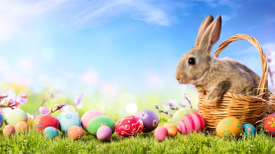 EasterBunnyBasketEggs