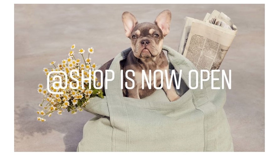 InstagramShopNowOpen