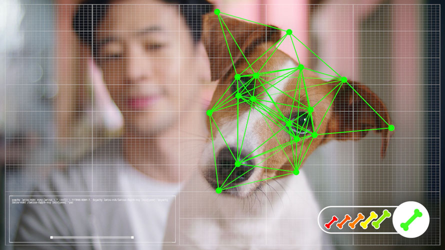 pet-facial-recognition-CONTENT-2019