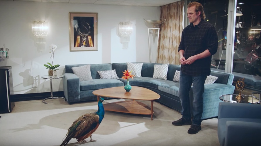 snl-david-harbour-peacock-CONTENT-2019 stranger things star david harbour faces off against the NBC peacock in his dressing room