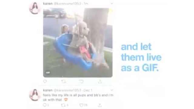 TwitteriOSLivePhotosAsGIFs