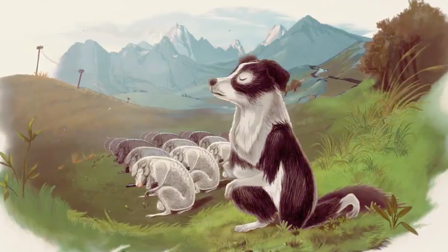 peta-animals-kneel-CONTENT-2020 a black and white dog kneeling outside a group of all white dogs in a meadow