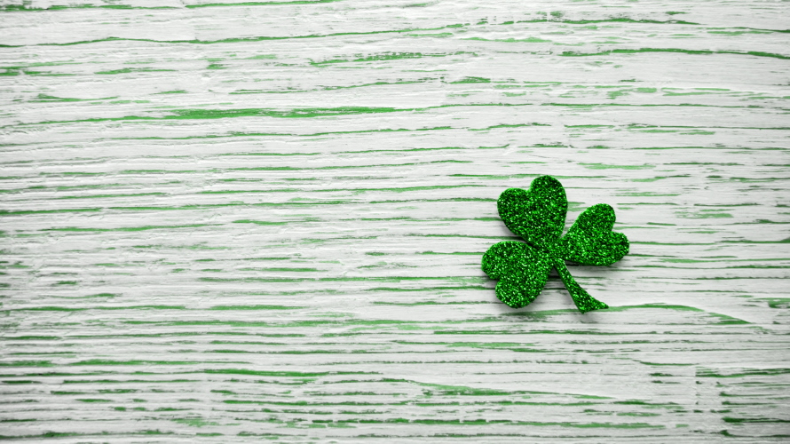St. Patrick’s day. Shiny Shamrock, clover leaf on a light wooden background