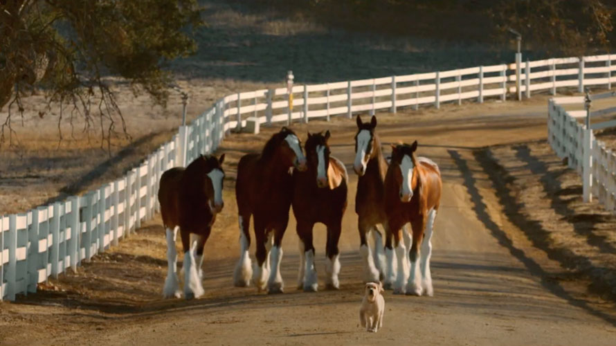Budweiser-ad-reopening-CONTENT-2020