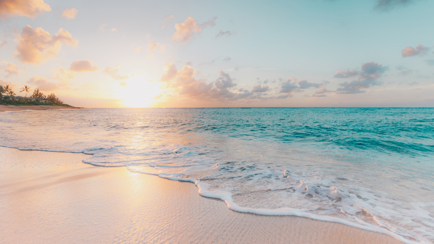 americans-canceled-summer-trips-CONTENT-2020 a clam beach