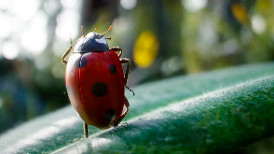 vittel-branding-nature-2020