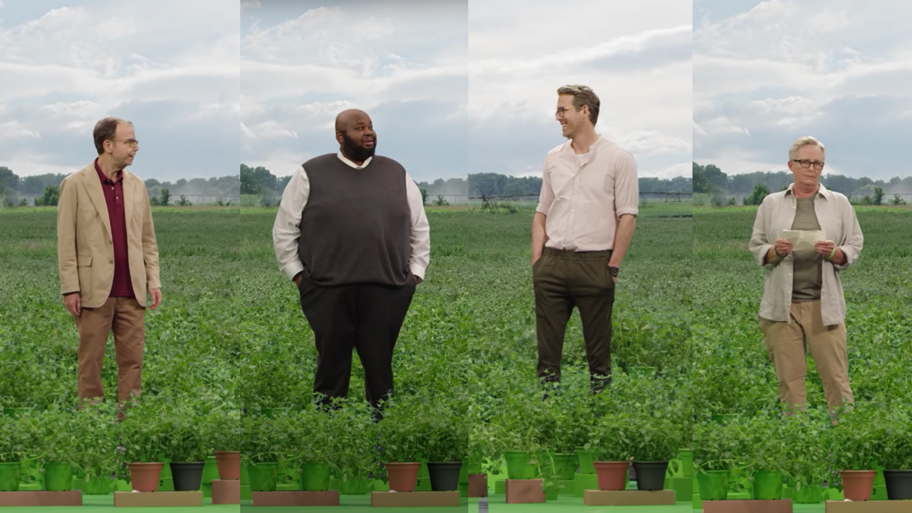 reynolds-mint-field-PAGE-2020