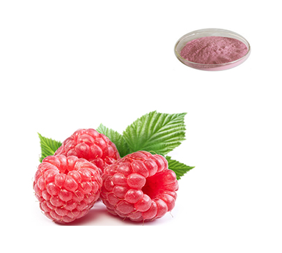 spray-dried-raspberry-powder
