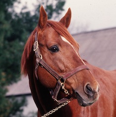Secretariat
