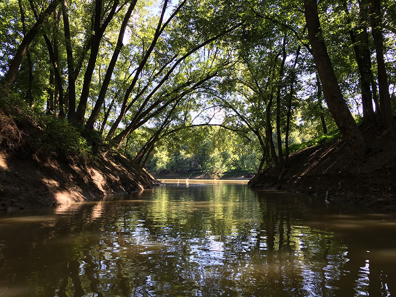The Licking River