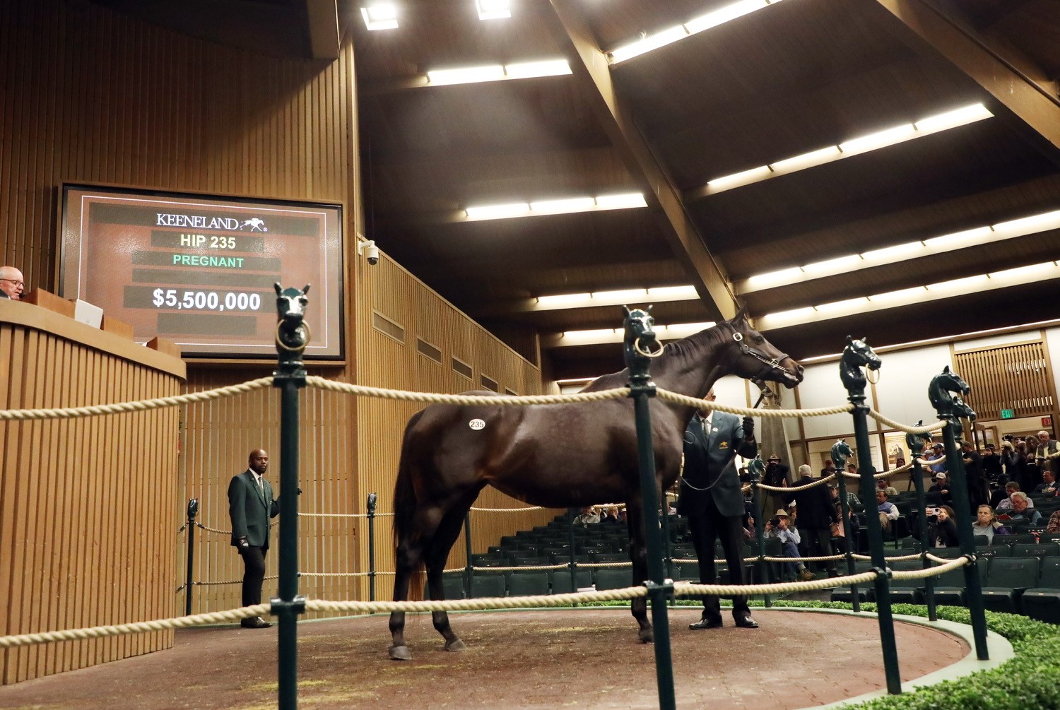 Midnight Bisou sells for 5.5 million on opening day of Keeneland sale Lane Report Kentucky