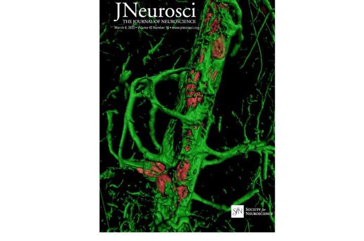 Sanders-Brown publication makes cover of recent Journal of Neuroscience issue - Vimarsana News