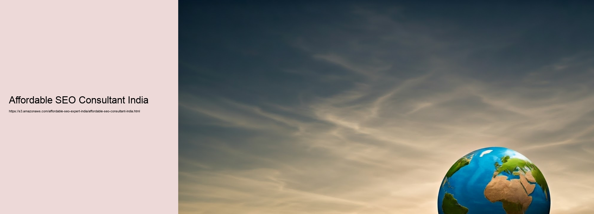 Exactly how a Budget-friendly SEO Expert in India Can Drive Your Organization Advancement