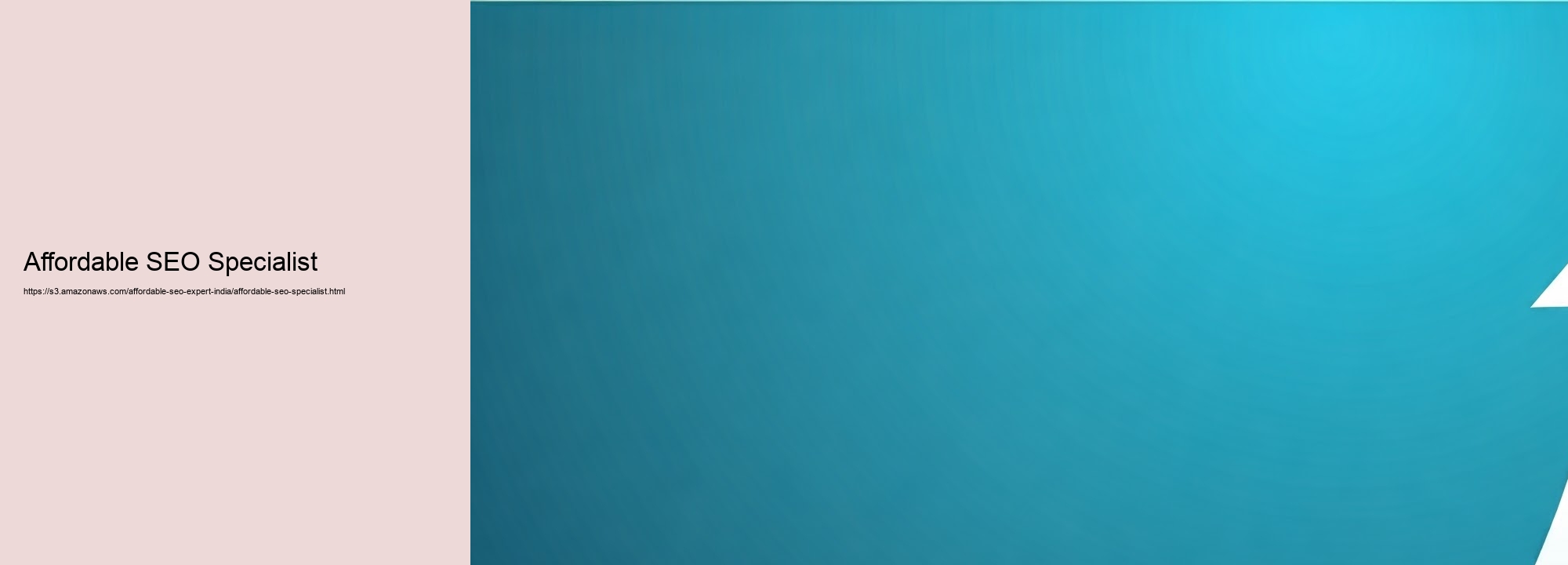 Advantages of Collaborating with an Affordable SEO Professional for Indian Company