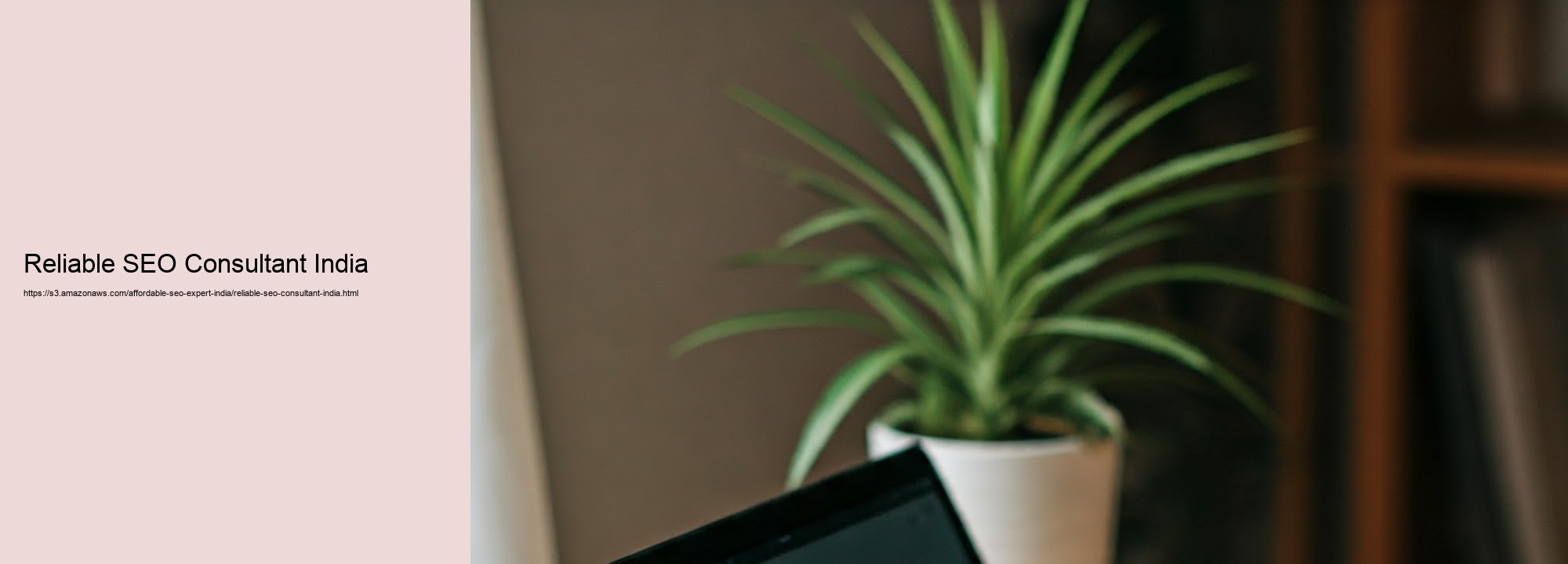 Specifically Just how a Low-cost SEO Expert in India Can Drive Your Firm Development