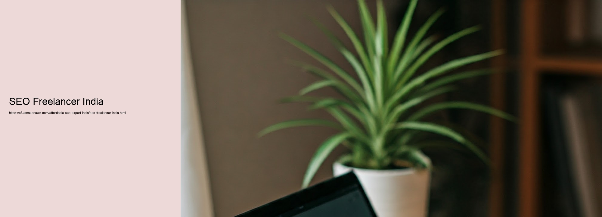 Just how a Budget plan Friendly Seo Expert in India Can Drive Your Solution Development