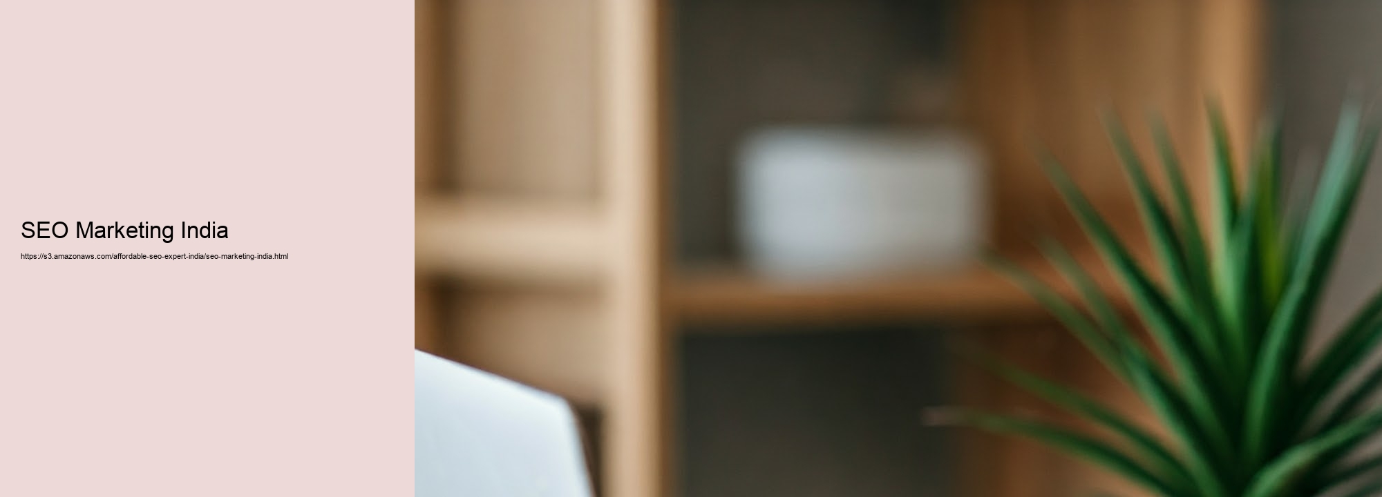 Exactly Just how an Economical SEO Expert in India Can Drive Your Company Advancement