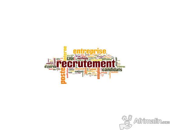 Offre d emploi veilleur strategique